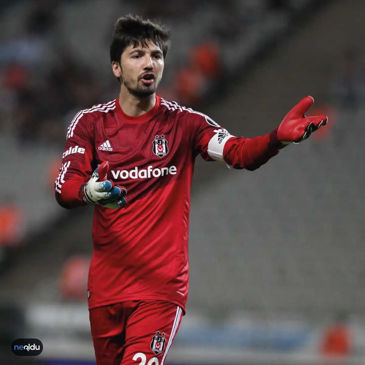 Tolga Zengin Beşiktaş Tolga Zengin Kimdir?