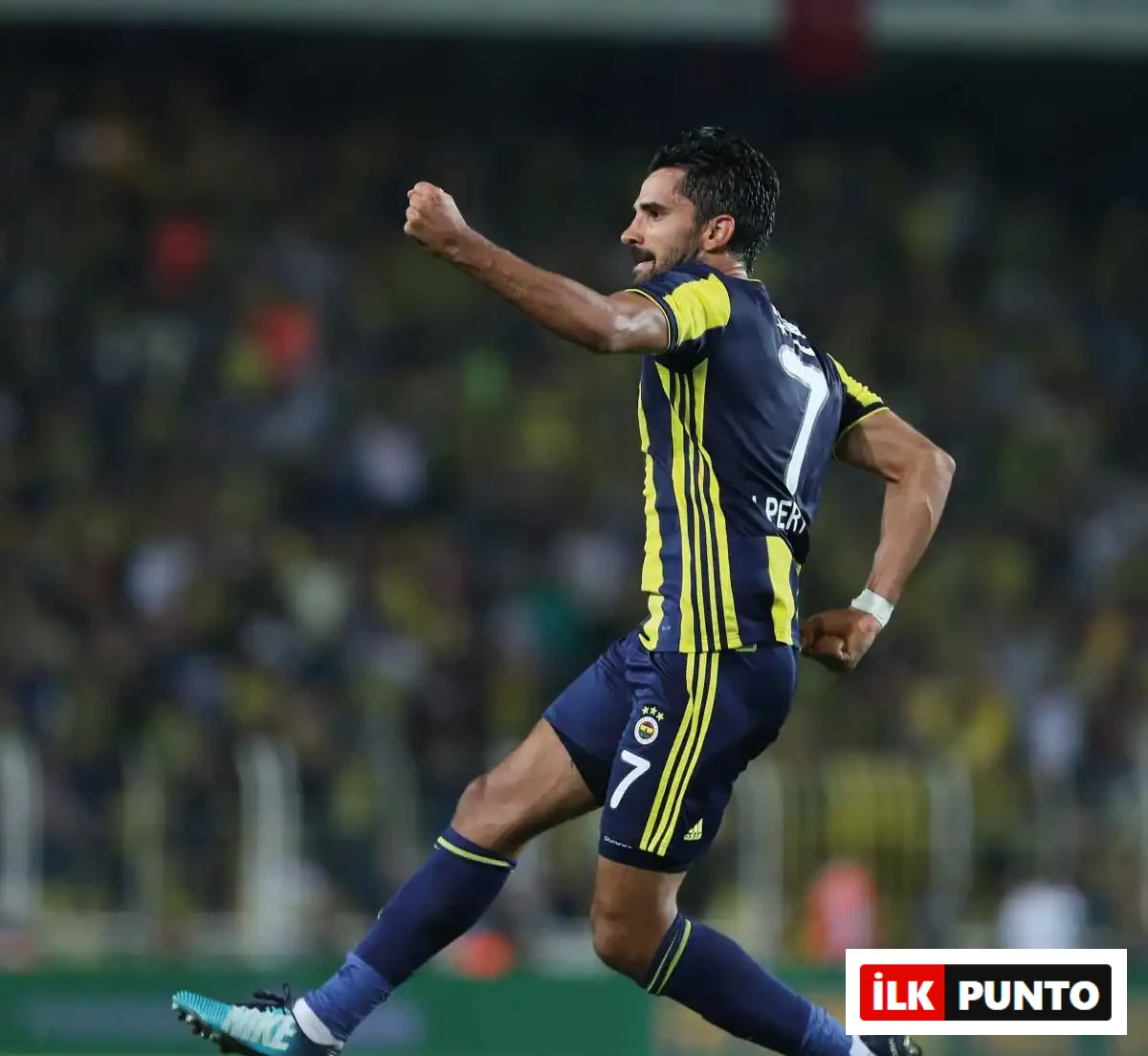 Alper Potuk Fenerbahçe Alper Potuk Kimdir?
