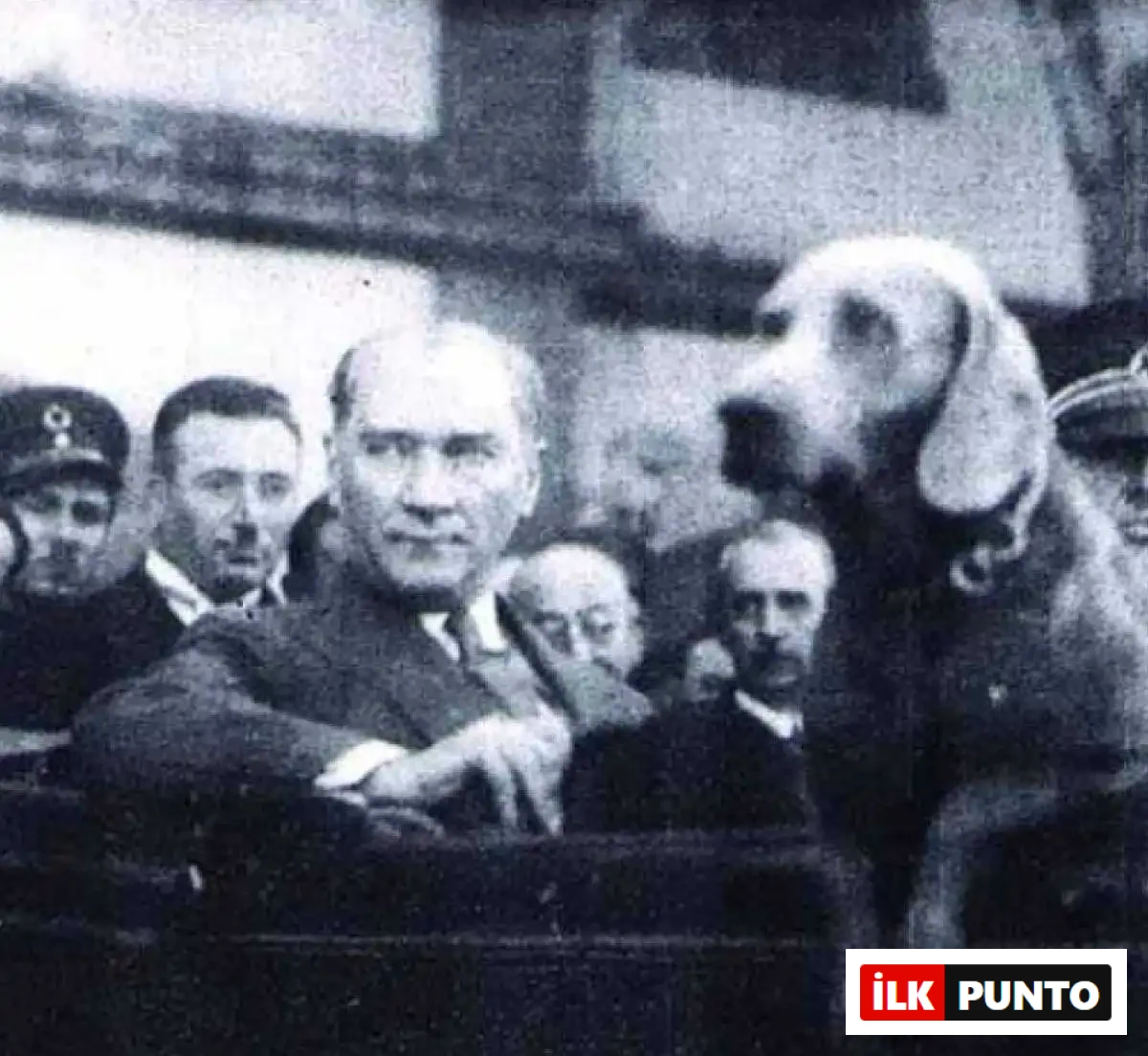 Atatürk'ün köpeği Foks Atatürk'ün Köpeği Foks