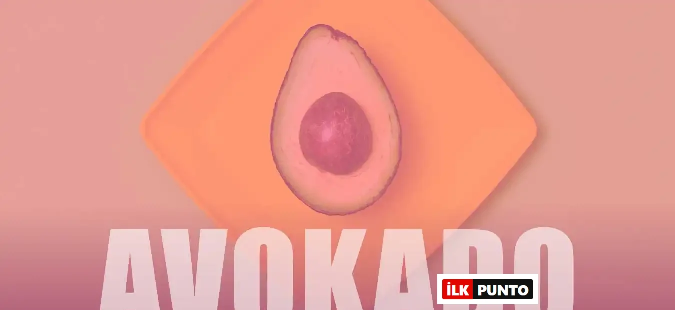 Avokado Nedir? Türleri, Faydaları ve Tüketim Önerileri