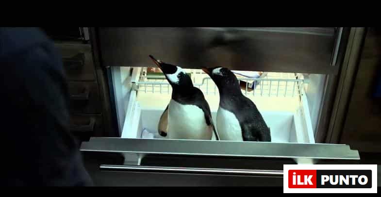 Babamın Penguenleri Film Konusu ve Oyuncuları