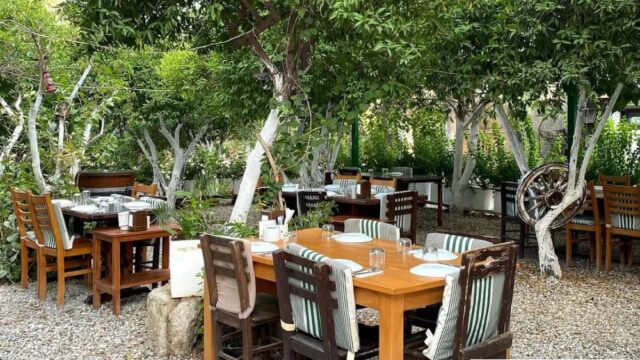 Bağarası: Bitez’in Bağlarında 20 yıllık Lezzet Durağı