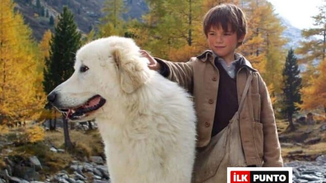 Belle ve Sebastien Film Konusu ve Oyuncuları