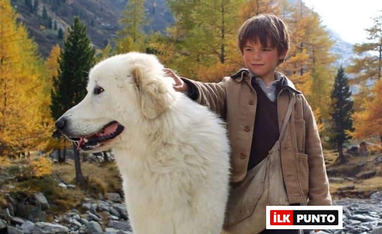 Belle ve Sebastien Film Konusu ve Oyuncuları