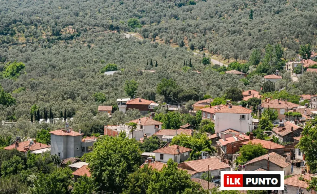 Bir Kez Gidenin Tekrar Döndüğü Edremit'in En İyi Restoranları