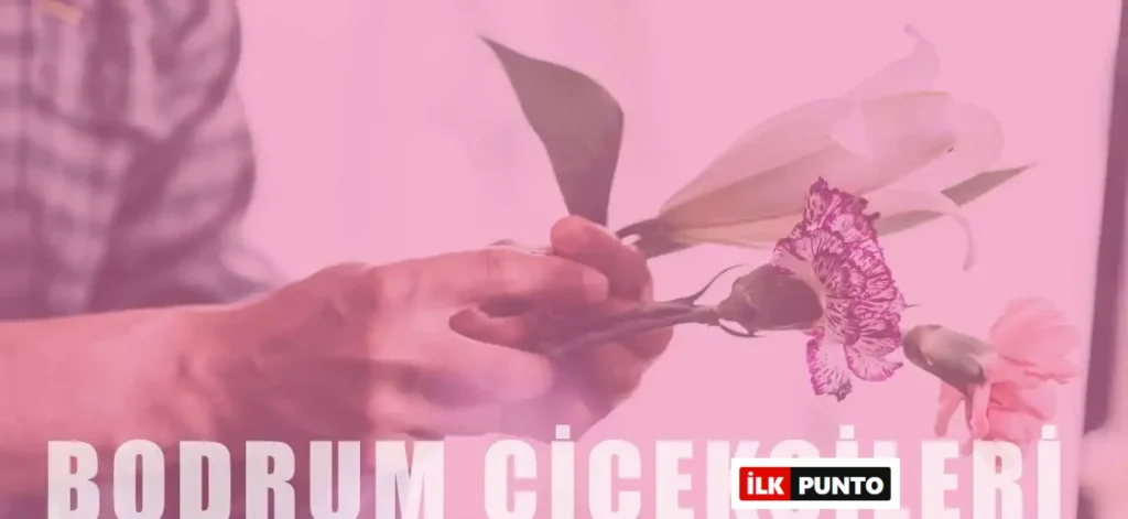 Bodrum Çiçekçileri - Bodrum'un En İyi 9 Çiçekçisi
