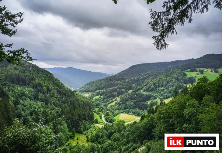 Almanya’nın Kara Ormanları’nda pastoral bir yürüyüş rotası. Yemyeşil doğa ve sakin vadilerle çevrili huzurlu bir patika.