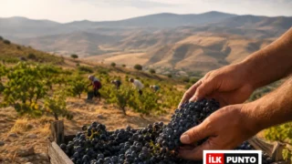 Çal Karası’nın Peşinde: Denizli Çal Bağ Yolu Rehberi