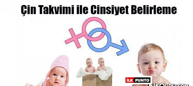 Çin Takvimi Otomatik Cinsiyet Belirleme