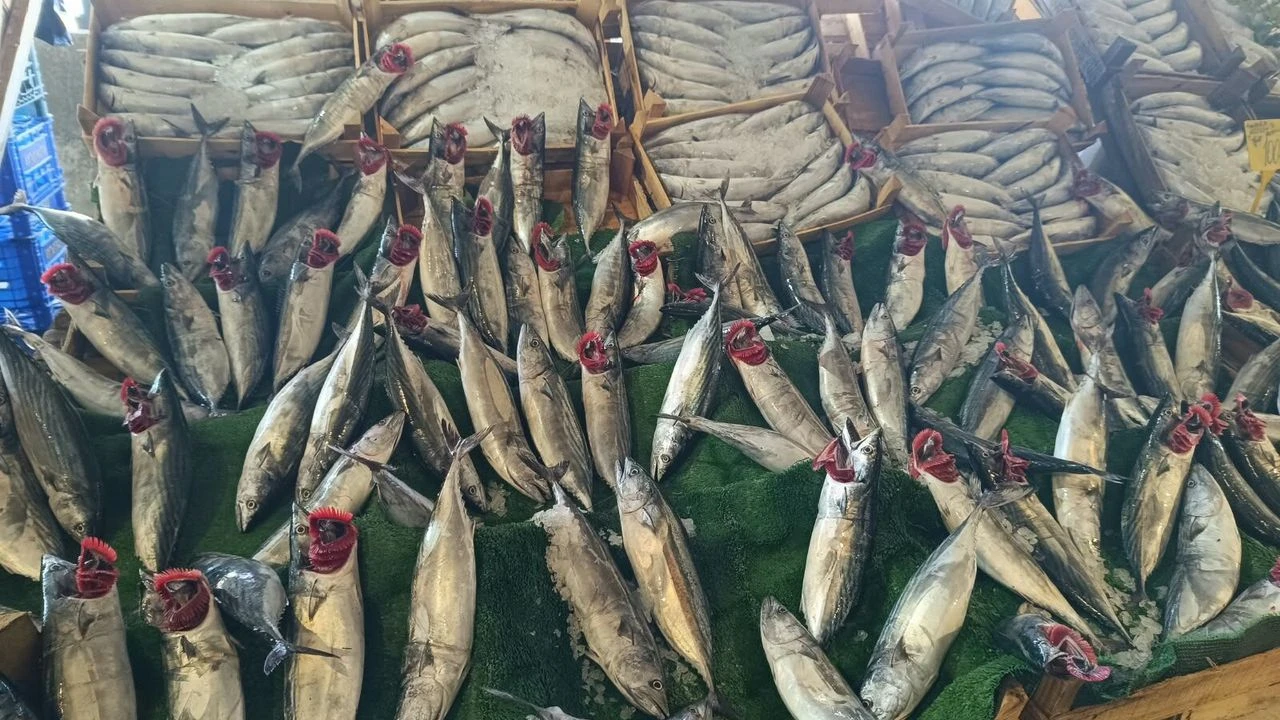 Doğu Kışla Perşembe Pazarı’nda balık fiyatları ne kadar?