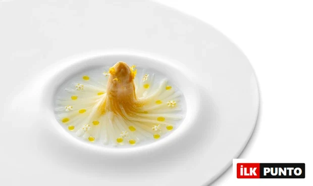 Dünyanın En İyi 50 Restoranı