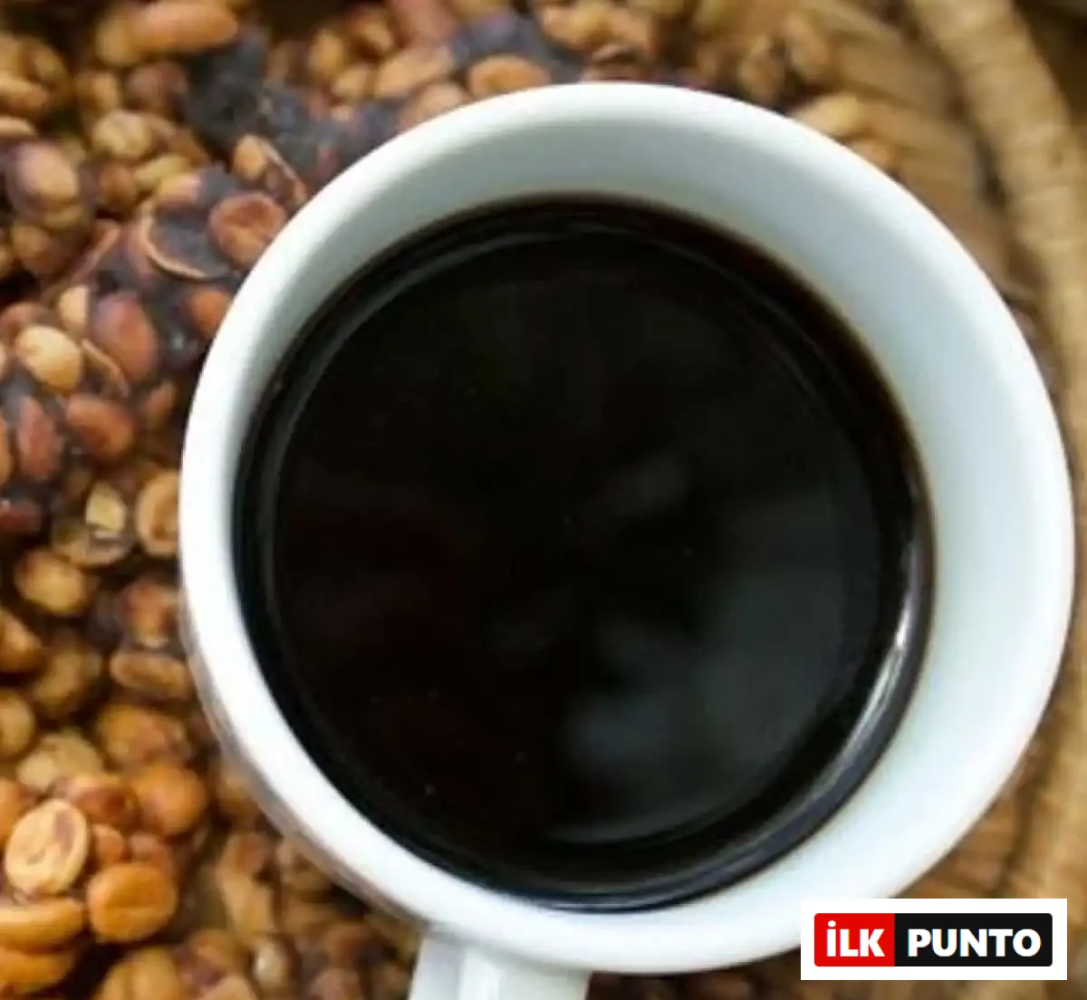 Kopi Luwak Kahvesi Nasıl Yapılır? kopi-luwak-kahvesi-005.webp
