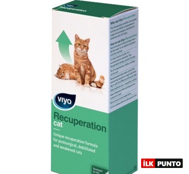 Viyo Recuperation Kedi Takviye Besini