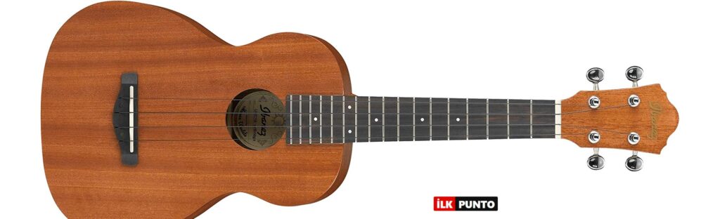 En İyi Ukulele Markaları ve Önerileri