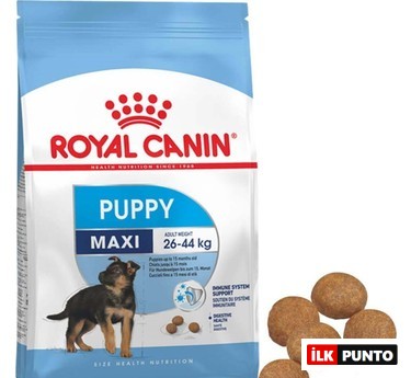 Royal Canin Puppy Maxi Büyük Irk Yavru Köpek Maması