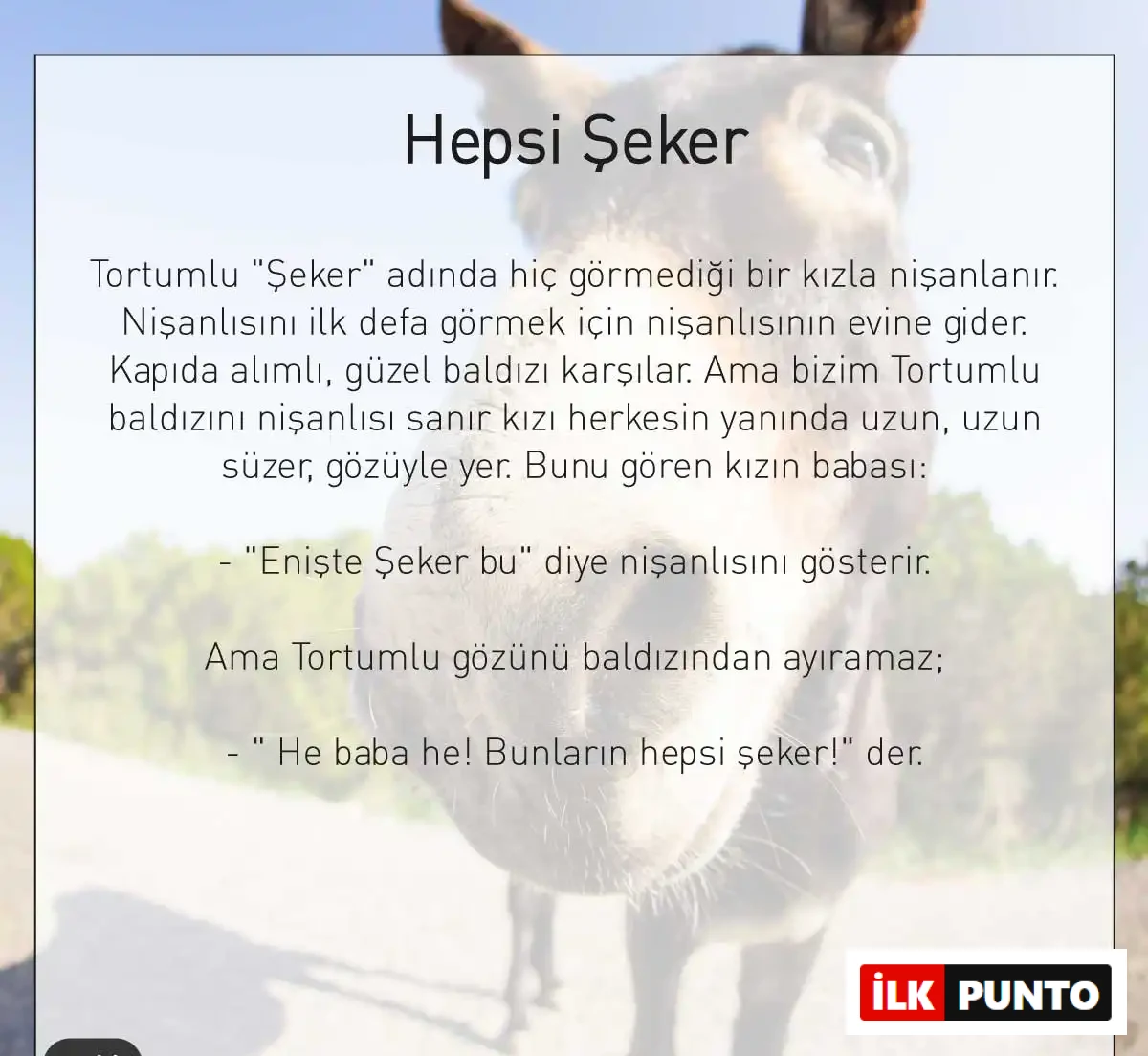 Hepsi Şeker Fıkrası Erzurum fıkrası Hepsi Şeker