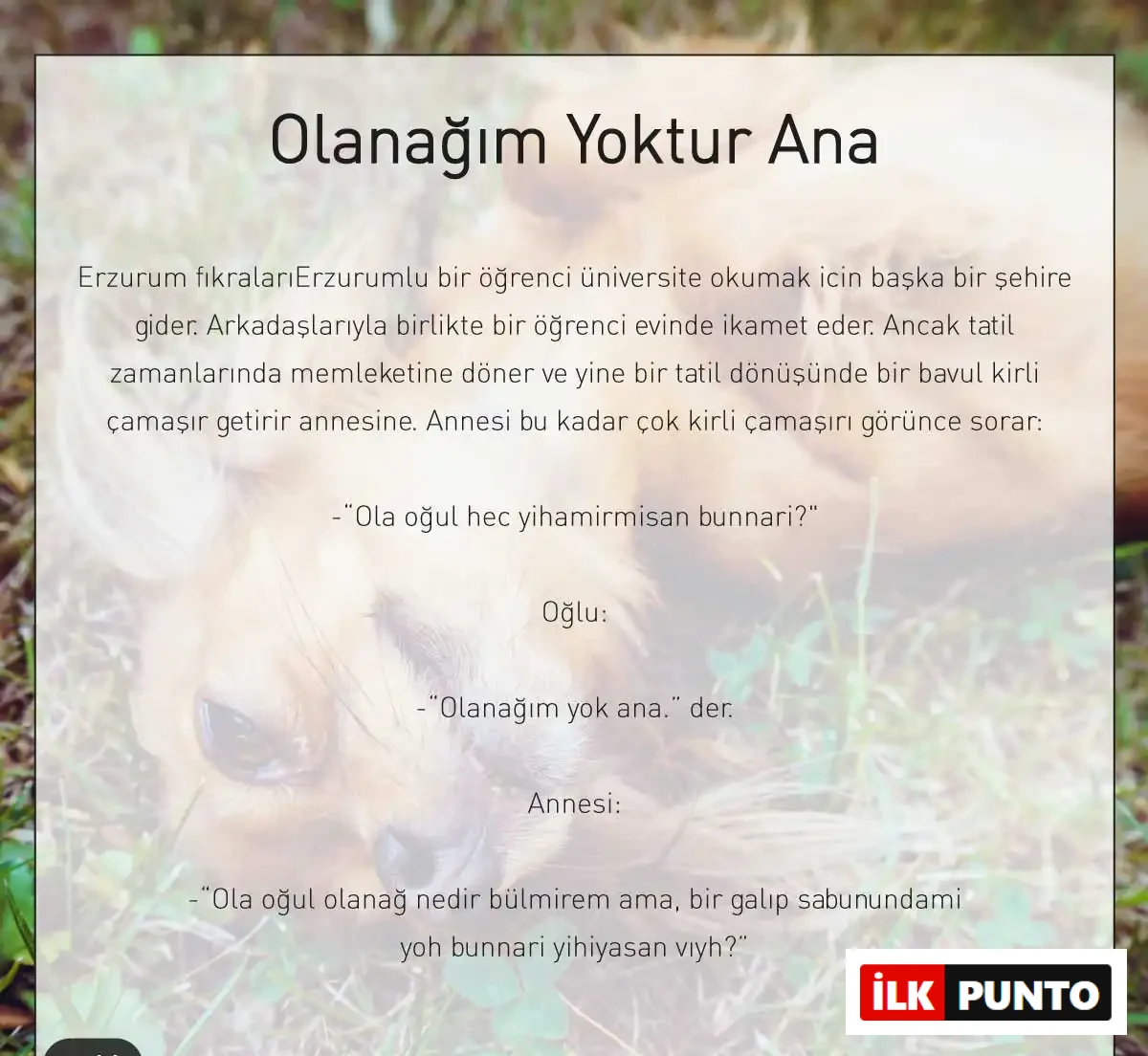 Olanağım Yoktur Fıkrası Erzurum öğrenci fıkrası
