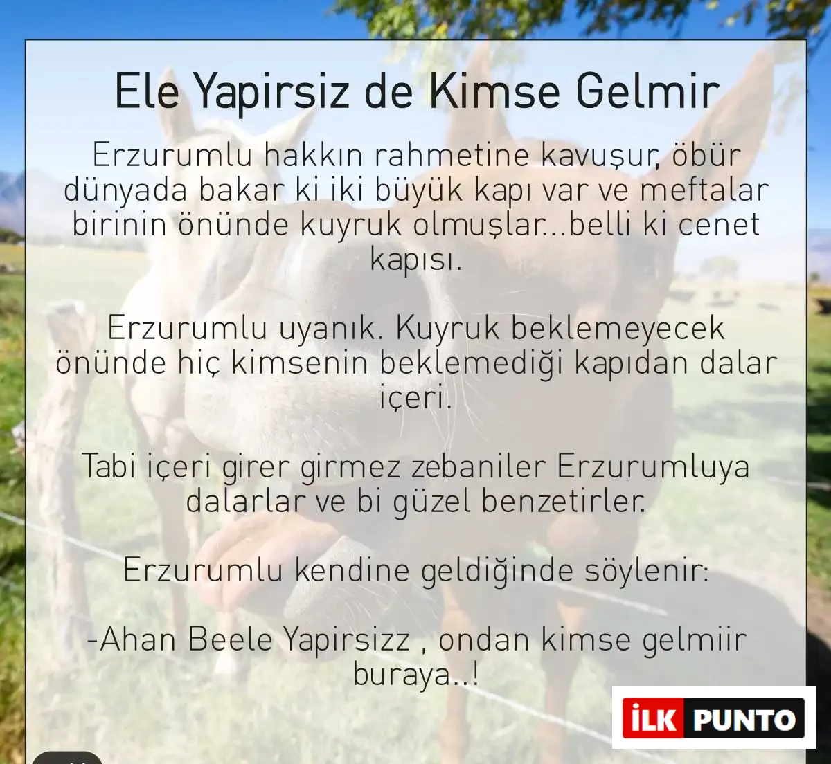 Erzurum Fıkraları Görseli Erzurum'un meşhur fıkralarına dair görsel