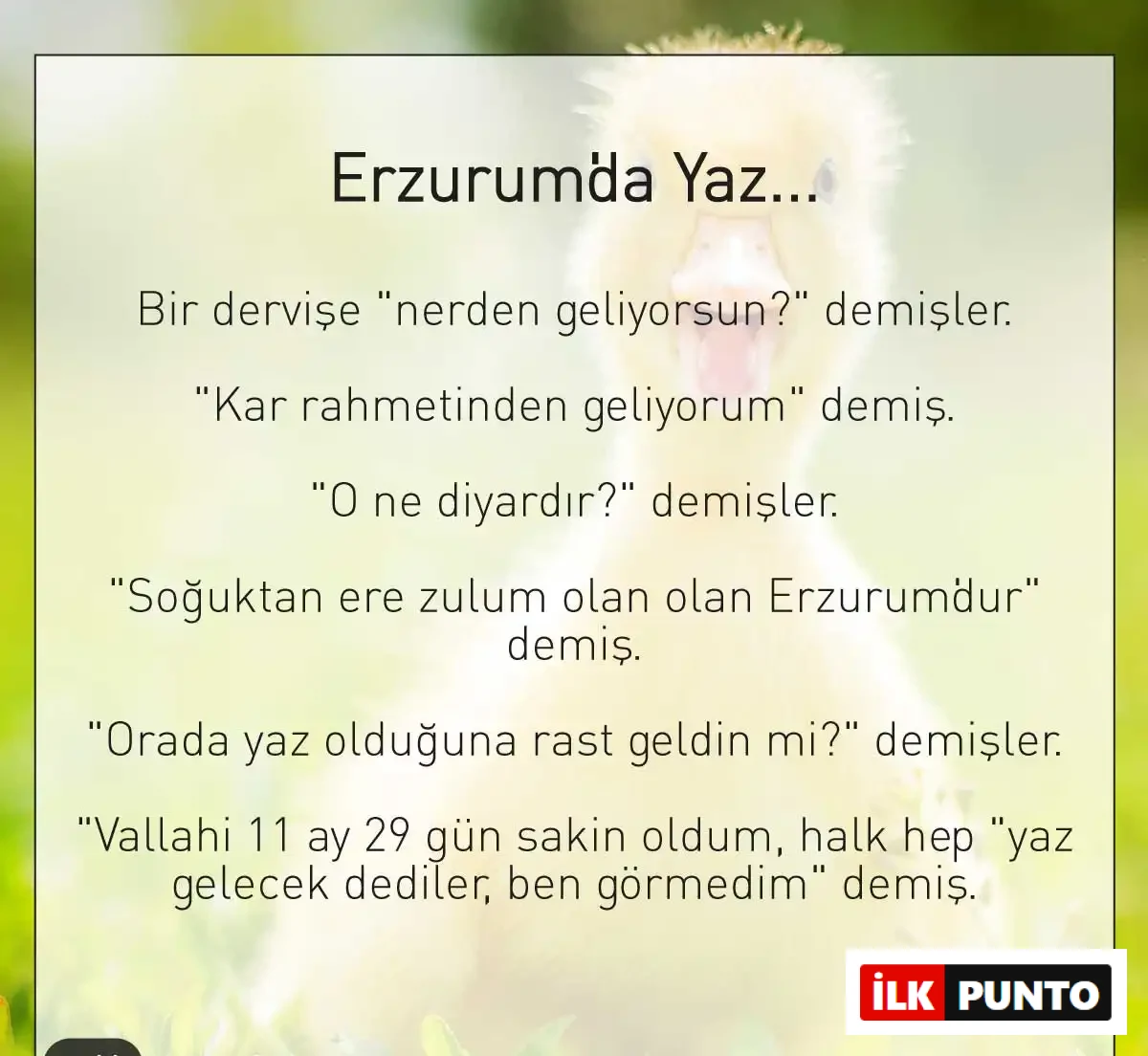 Erzurum Yaz Fıkrası Erzurum kültürüne özgü mizah