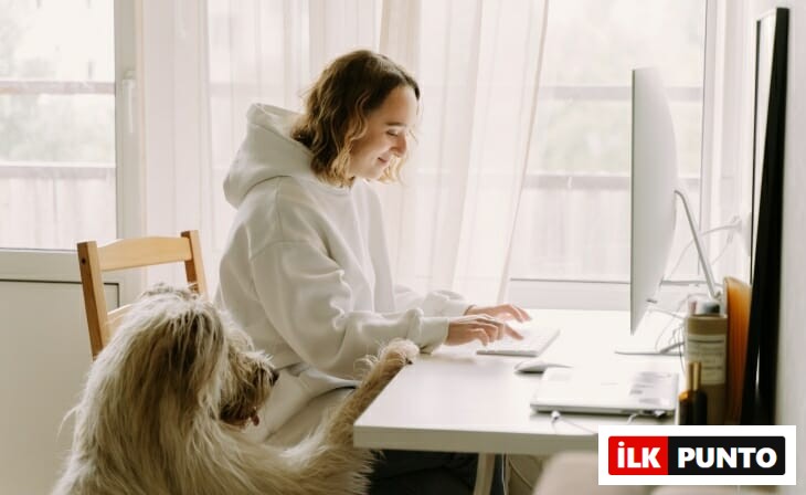 Beyaz kapüşonlu genç bir kadın, evdeki masasında bilgisayarda çalışırken yanında oturan büyük tüylü köpeği patisini masaya yaslamış, evden çalışma verimliliği için rahatlık ve dostluk bağının önemini vurguluyor.
