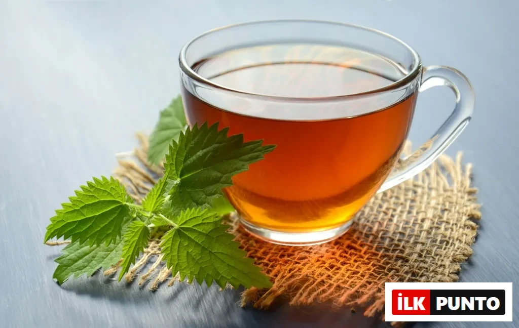 Cam bir fincanda servis edilen amber tonlarında demlenmiş ısırgan otu çayı, yanına yerleştirilmiş taze ısırgan yapraklarıyla birlikte sunuluyor.