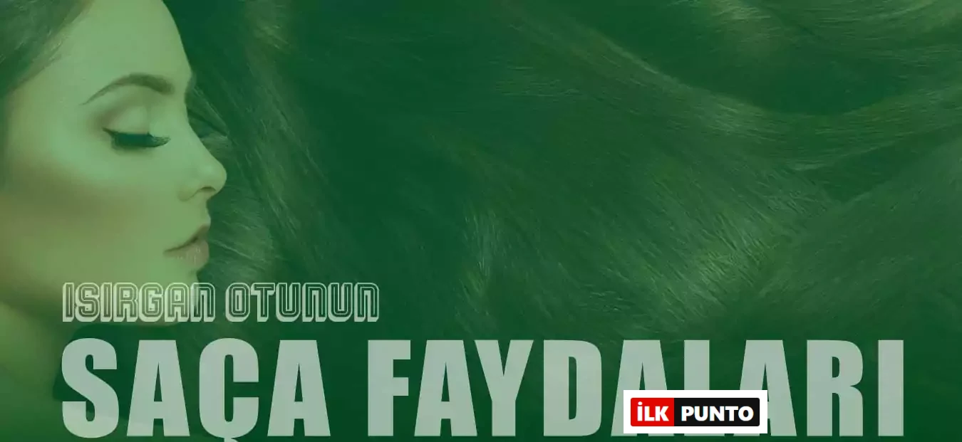 Isırgan Otunun Saça Faydaları | Dökülmeyi Önleyen ve Hacim Veren Mucize Bitki