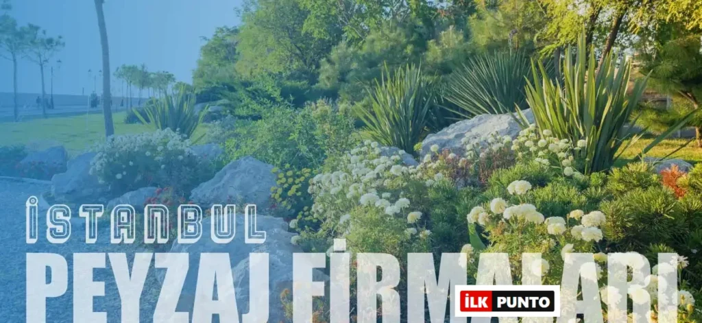 İstanbul'un En İyi Peyzaj Firmaları