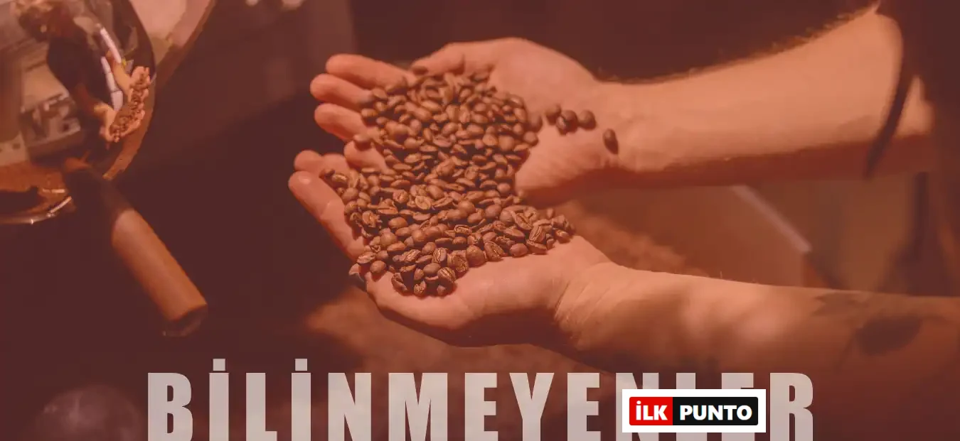 Kahve Tarihi ve Çeşitleri: Bilmeniz Gereken 10 İlginç Özellik