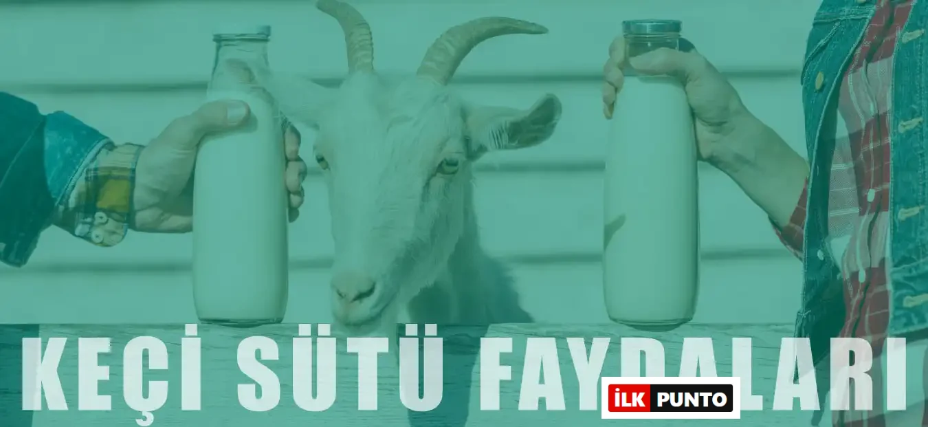 Keçi Sütünün Faydaları: Sağlık, Cilt ve Sindirim İçin Doğal Mucize