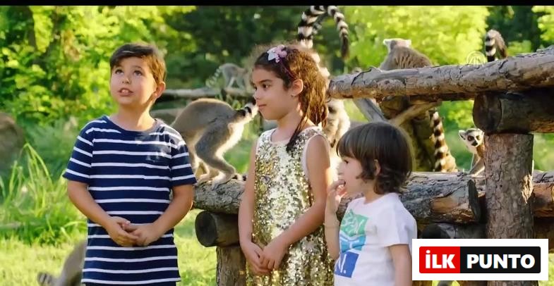 Konuşan Hayvanlar filmi