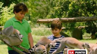 Konuşan Hayvanlar Film Konusu ve Oyuncuları