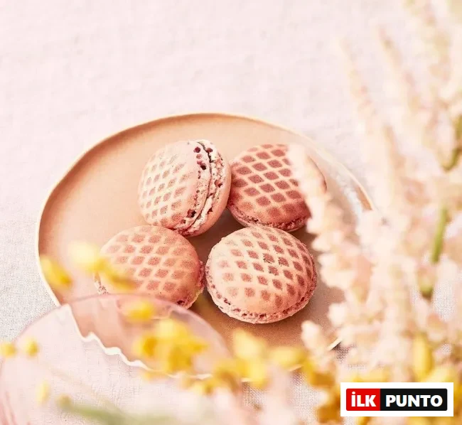 Lenôtre pastanesinin şık pembe makaronları – Paris’te ünlü Fransız pastacılık markası
