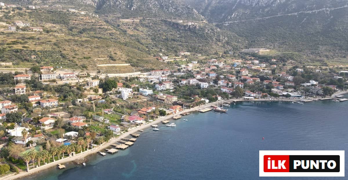 Marmaris Söğüt