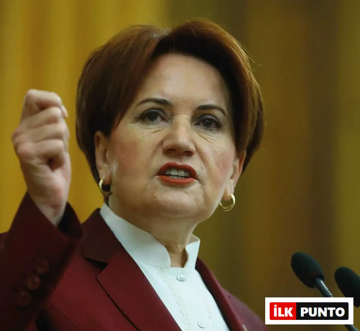 Meral Akşener Ailesi ve Akademik Hayatı Meral Akşener Kimdir?