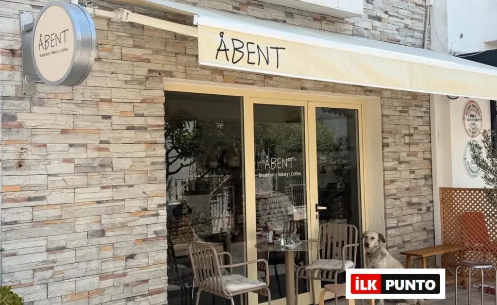 Mevsiminde Malzemeler, Yerel Tatlar ve Gerçek Sohbetler: Bitez’de Abent Deneyimi