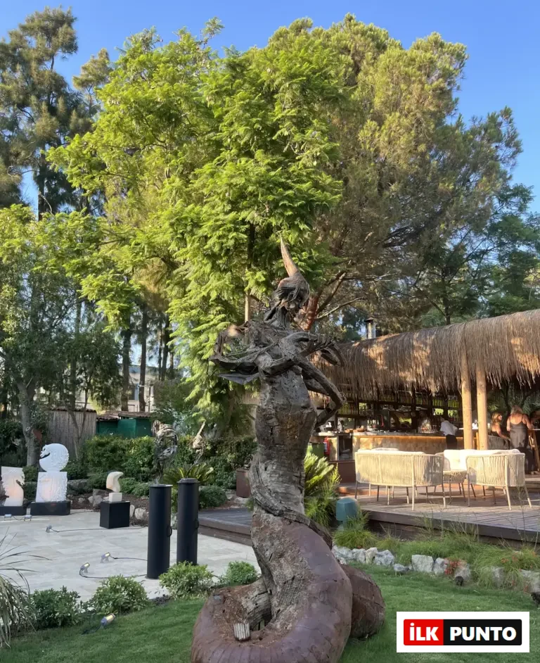 Mezra: Yalıkavak’ta Doğal Tatların Modern Yorumu