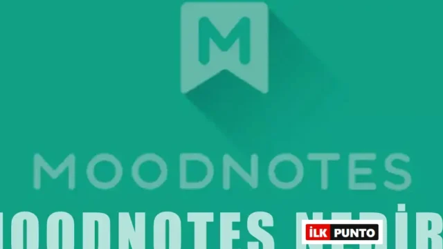 Moodnotes Nedir? | Özellikleri ve Kullanılışı Hakkında Bilgi
