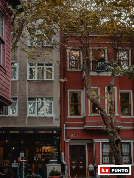 Şehre Dönüş Sohbetleri: Dr. Taylan Yıldız
