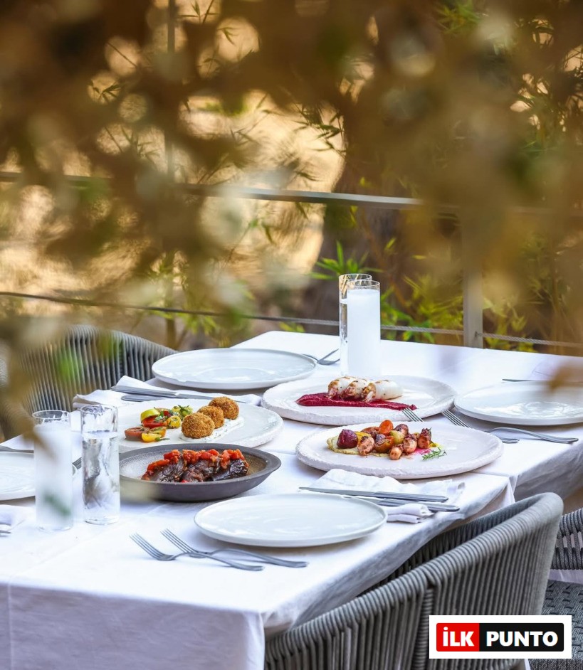 Sia Eli Bodrum: Gümüşlük’te MSA Mutfağı Farkıyla Bir Sofra Deneyimi