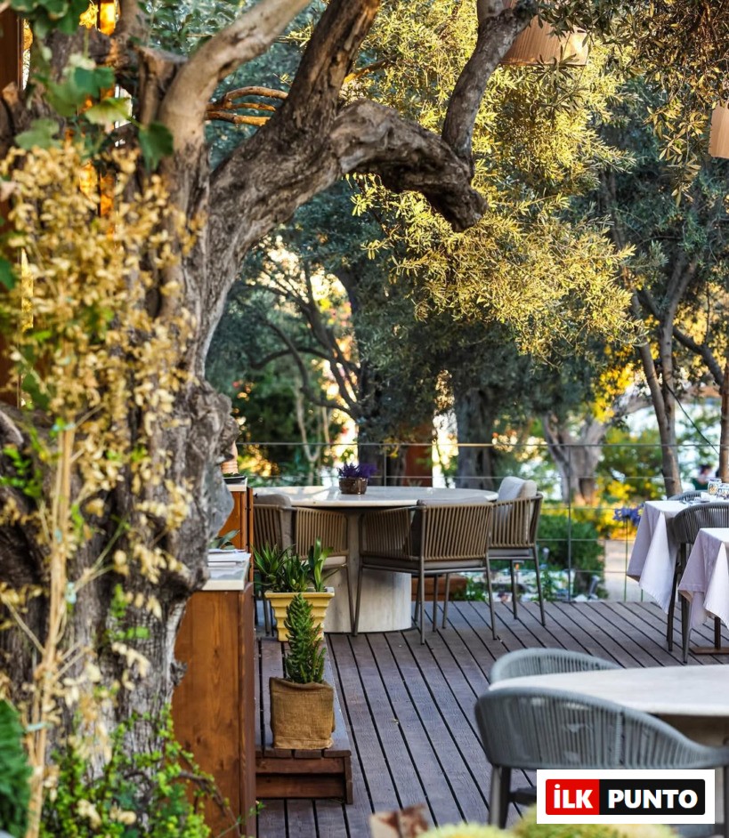 Sia Eli Bodrum: Gümüşlük’te MSA Mutfağı Farkıyla Bir Sofra Deneyimi