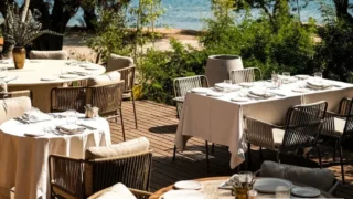 Sia Eli Bodrum: Gümüşlük’te MSA Mutfağı Farkıyla Bir Sofra Deneyimi
