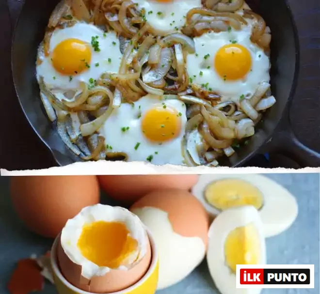 Yumurta: Sağlıklı Protein Kaynağı Yumurta Protein Kaynağı