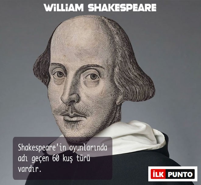 William Shakespeare Hakkında Bilgi William Shakespeare Hakkında Bilgi