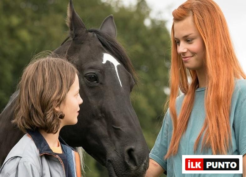 Windstorm 4: Ari'nin Gelişi filmi