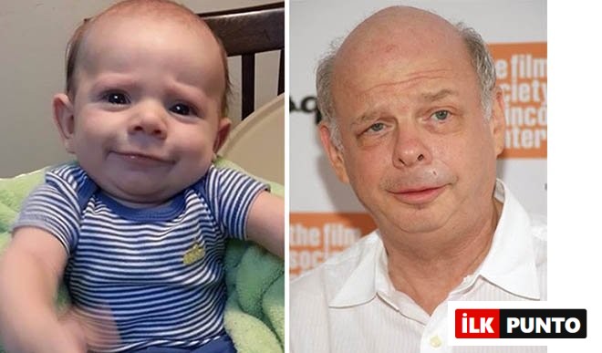 wallace shawn